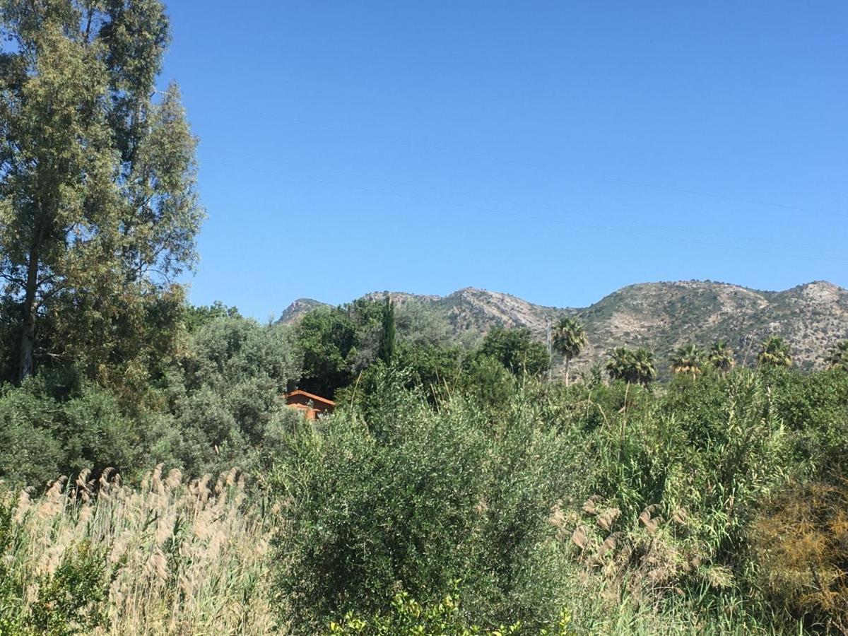 Finca Fahala Cártama Buitenkant foto